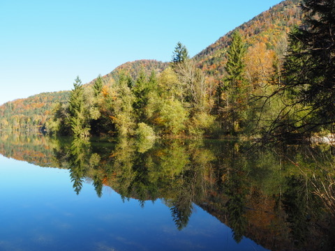 Spiegelnder Bergsee mit Herbstwald